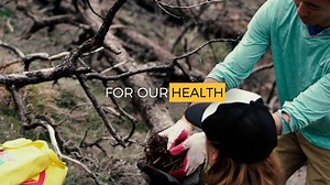 This November, use your camera or lenses to plant trees. 🌲 Together with @onetreeplanted we'll plant up to 20,000 trees to combat deforestation. ⏸️ Pause the pressure. Go circular and we'll get a tree planted for you. https://bit.ly/3svgdV9 | MPB