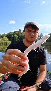 8.5K views · 71 reactions | Guess what i found to eat in the forest | Forest Paths | Facebook