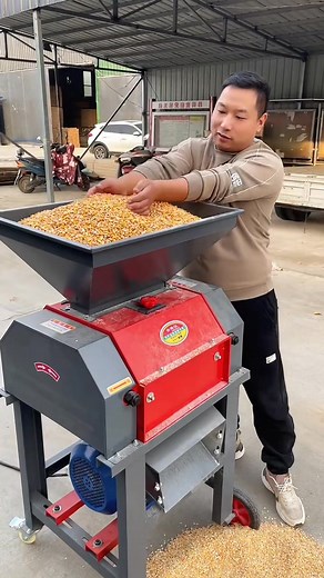 238K views · 1.2K reactions | Large 450-type grain crusher with a capacity of 10,000 catties per hour #High efficiency, fast speed, time-saving and labor-saving #Suitable for fattening sheep, chickens, ducks and geese #Can crush corn, wheat, sorghum, barley and various grains Less | New Tecnology | Facebook