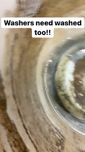 211K views · 347 reactions | You wouldn’t take a bath in a mud puddle, just saying | Derrick Lee Dennis | Facebook