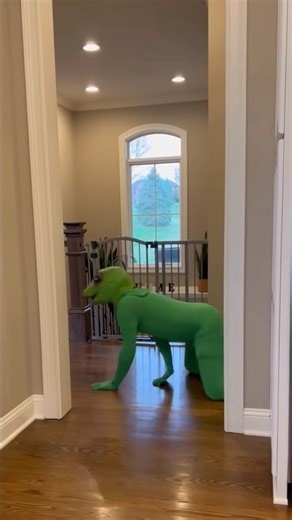 FROG ATTACKS TODDLER (Toddler Gets Even!)