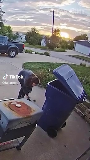 Hilarious Recycling Day Fail Compilation