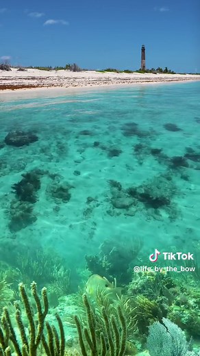 Days like this feed the addiction. #lifebythebow @pathfinderboats @garminmarine #availgear #boating #beauty #ocean #islandlife