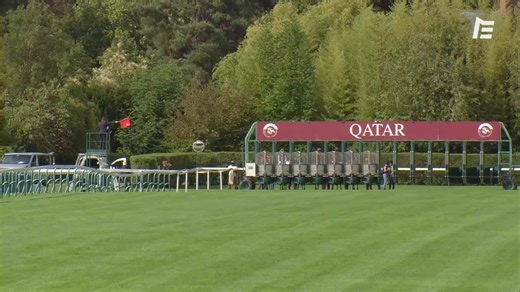 ⚡️ Quelle impression laissée par Aventure ! La championne de 𝗖𝗵𝗿𝗶𝘀𝘁𝗼𝗽𝗵𝗲 𝗙𝗲𝗿𝗹𝗮𝗻𝗱 décroche le Qatar Prix Vermeille (Gr.1), le premier Groupe 1 de sa carrière ! Elle avait pris trois deuxièmes places à ce niveau de compétition auparavant. La jument réalise une superbe année 2025 : 🥇Prix Allez France (Gr.3), 🥇Prix Corrida (Gr.2), 🥇Qatar Prix Vermeille (Gr.1). 👉 La lauréate du Prix de Diane Longines, Gezora, termine deuxième. La favorite, Whirl, est battue. | Equidia