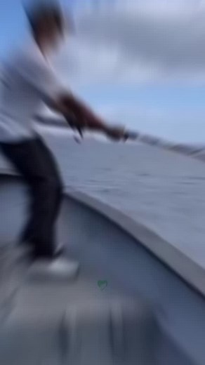 5.4K views · 3.5K reactions | The most expensive fish is… • Check out the link in my bio to get the free recipes • Save this video for later✅ • Follow @iqmeducine for more nature secrets • #health #nature #food #recipe | Iqmeducine | Facebook