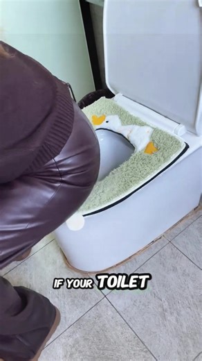 Fix Your Wobbly Toilet Seat Permanently