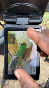 23K views · 432 reactions | Wait for results 勞 photography || #shorts #wildlifephotography #nature #nikon #canon #sonyalpha | SK.Photography 2.O | Facebook