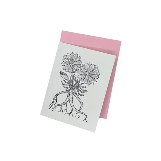 Bitterroot Flower Card Linocut Illustration on Cotton Paper With Pink Envelope - Etsy