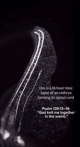 633K views · 17K reactions | Amazing time lapse... | M.A. Rothman | Facebook