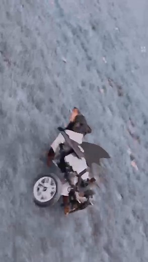 21K views · 2.3K reactions | Harold has sprouted batman wings to go with his bat ears 驪驪. We think Harold is one cool dude. Do you agree? #batman #batears | Pumpkin & Friends Charity 1199484 | Facebook