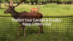 Deer Fence for Garden 4ftx50ft, Plastic Mesh Garden Fencing with Pre-Strung Reinforced Edge, Durable Temporary Fencing, Animal Barrier Fence, Ideal Safe Netting for Poultry, Fruit & Plant Protection