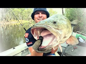 Murray Cod, Fishing, Prime fishing Adventure......