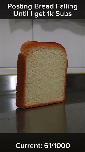 Falling Bread Meme Until 1k
