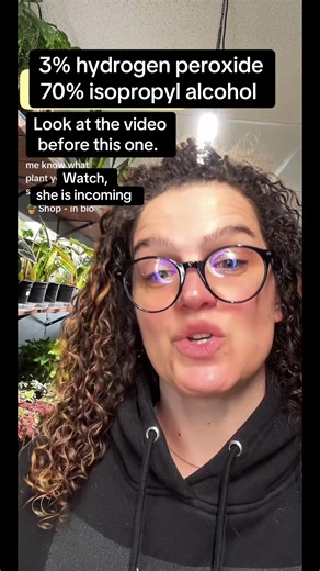 Update on the Polly #livehighlights #tiktoklive #plants #fyp #foryoupage