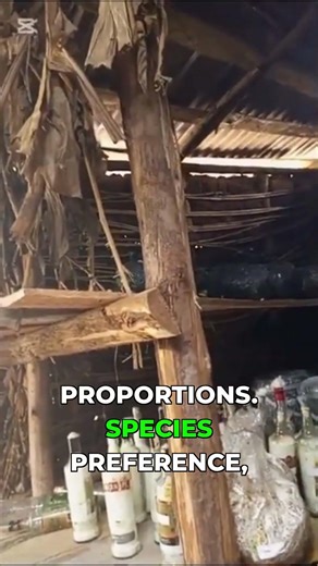 Feed Your Fungi Right! Substrate Species Match