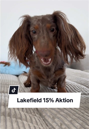 Frohe Futterfreude: Unser Paket von Lakefields Manufaktur