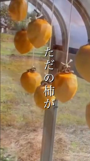 失敗しない干し柿の作り方