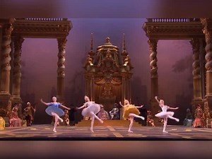 169 reactions · 39 shares | Bolshoi Ballet performing Precious Stones from Sleeping Beauty. | Russian Australian Cultural Centre - Vera | Facebook