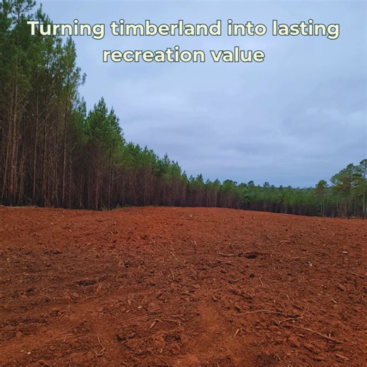 Thoughtful land management adds lasting value. Here we’re widening a food plot by clearing planted pine, then tilling the soil for new seed — creating healthier habitat for deer and turkey while improving the usability and long-term value of the property. 🦌🌾 If you own 50 acres or more and want to create a wildlife habitat and family recreational area, contact The Good Forty. Let us help you make an investment that keeps on growing. 🌳 #thegoodforty #landstewardship #wildliferecreation #Proper