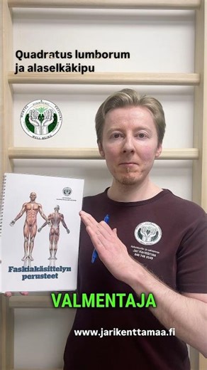 Alaselkä kipeä? Syy voi olla yllättävässä lihaksessa (QL)