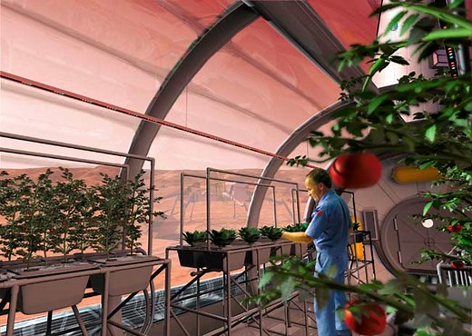 Farming on Mars: NASA Ponders Food Supply for 2030s Mission
