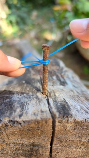 Effective String Line Hitch. #tiearope #ropeskills