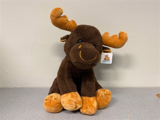 Mills Fleet Farm’s annual Black Friday giveaway draws massive crowd