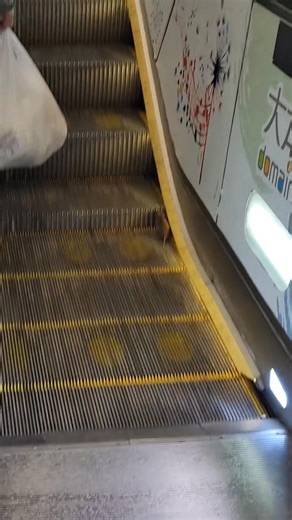 Poor rat will never reach the top of the escalator.. | Dimsumdaily Hong Kong Wanderlust