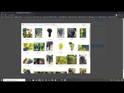 Tutorial Wordwall (plataforma de jogos) passo a passo o que é, como usar e como postar jogos.
