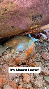 From swirling ammonites to sleek marine reptile bones, each fossil is a puzzle piece of Earth’s lost oceans 🧩🦕 For ammonite rocks to crack open, please visit our official online store yorkshirefossils.NET (link in bio) or message directly on Instagram @yorkshire.fossils 🦕 For more videos, check our YouTube / TikTok! 🏝 Thanks for supporting our page! 🐊 #natural #nature #fossil #fossils #ancient #animals #art #fblifestyle #ammonite #ammonites #dinosaur #scientist #minerals #paleontology #whit