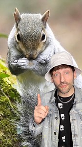 160K views · 7K reactions | Squirrels are no joke  #squirrel | Odd Danny | Facebook