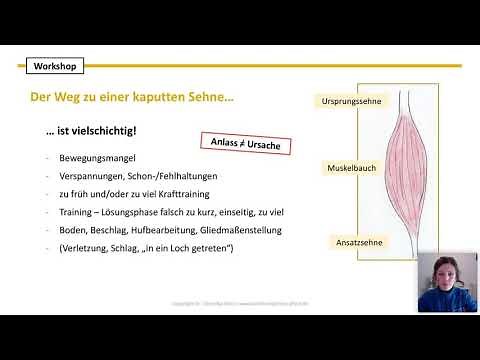 Training und Unterstützung für sehnenkranke Pferde