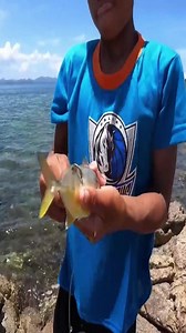 #reelsvideo #foryou #Amazing #fishing #fyp 🐟🐠🐟 | AmazingSea Vlog
