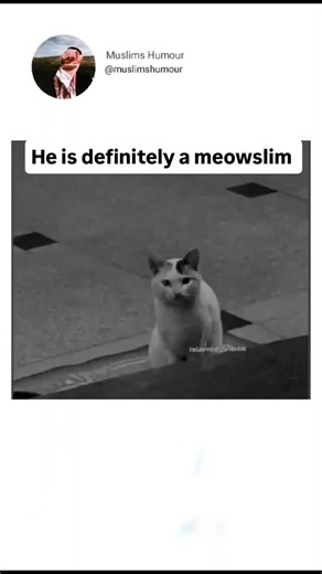 muslimshumour on Instagram: "😂♥️"