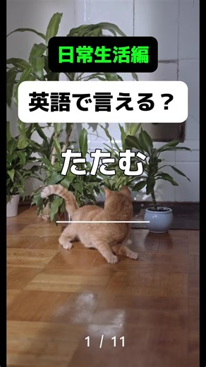 意外とわからないかも😉 #英単語 #英会話 #英語の勉強 #英会話初心者 #日常英会話 #英単語暗記 #英検