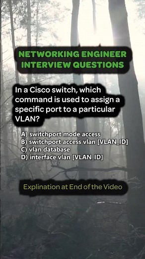Cisco Switch VLAN Configuration - Understanding Access Ports and VLAN Assignment