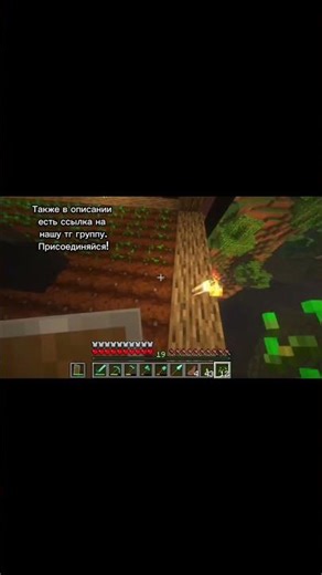 ip:mc.rainycraft.fun версия: 1.21.11 Java #server #minecraft #rainycraft