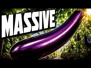 PERMANENT GROWTH ⚡ Ultimate Male EXPANSION (Subliminal Binaural Beats)