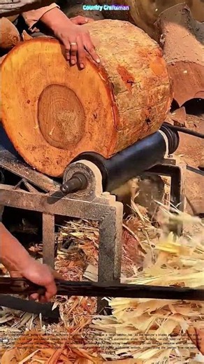 The Scent of Success: Transforming Camphor Wood into Essential Oil