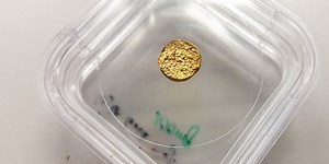 An 18-carat gold nugget made of plastic