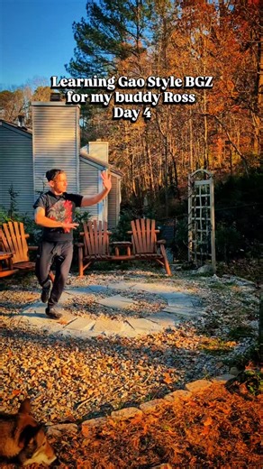 David on Instagram: "Day 4 of learning Gao Style BGZ from Cheng school. I always love a fresh challenge! #baguazhang #taiji #qigong"