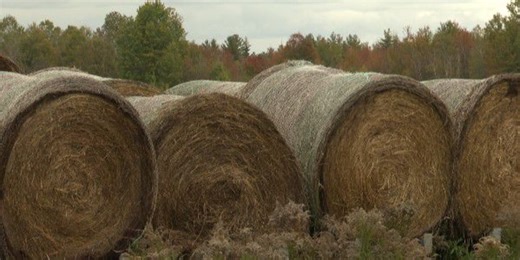 Wet hay and fire risks