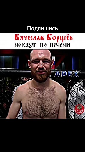 Mixed Martial Arts Combat Highlights in Professional Event