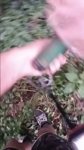 Détection de métaux en forêt avec Dylan #detectiondemetaux