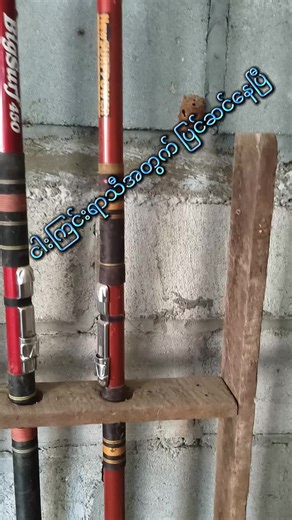 #creatorsearchinsights #carp fisherman #Angler Mg Mg