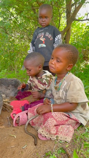 Sweet Wild Feast for Brave Kids ❤️ #shorts