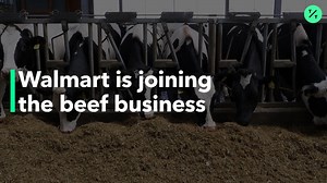 Walmart Creates a Beef Supply Chain