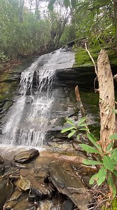 Spring rain brings the flow to our waterfalls 🌧 🌊 You can find this hidden gem in our community off the purple trail 💜 Chinquapin boasts miles of trails, protected land and neighbors 🌲 Panthertown National Forest, mindfully developed to connect you to nature #chinquapinnaturally | Chinquapin