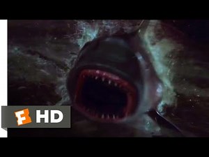Shark Night (2011) - Get in the Water Scene (5/10) | Movieclips