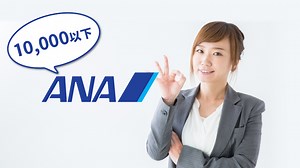 【5選】ANAマイルの交換で10,000マイル以下におすすめの交換先